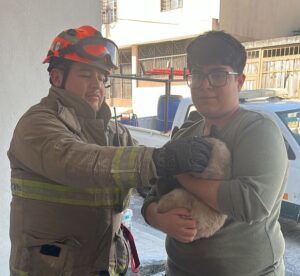 Un gato atrapado en un árbol durante cuatro días es rescatado. Las autoridades ofrecen apoyo para situaciones similares.