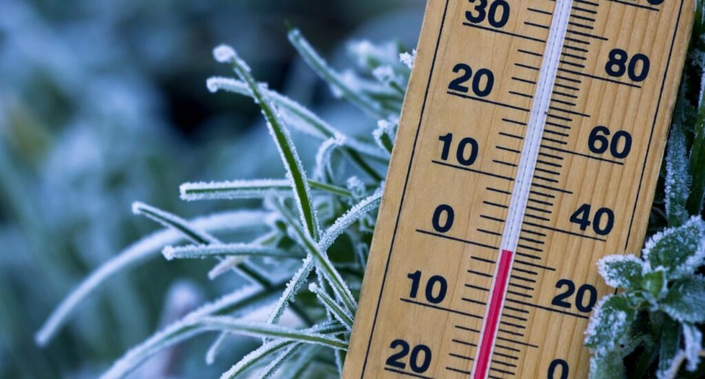 Con la llegada del Frente Frío 37, Nuevo León experimentará un drástico descenso en las temperaturas. Descubre más aquí.