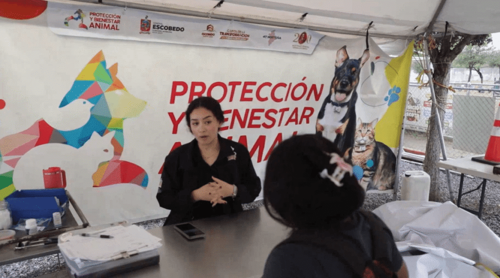 Tres animales en condiciones preocupantes fueron rescatados en Escobedo y ahora buscan un hogar amoroso.