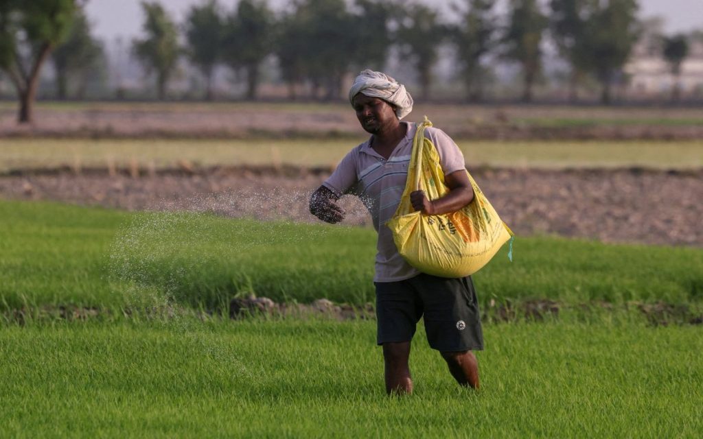 Un nuevo estudio revela que los pesticidas son responsables de miles de muertes anuales, destacando la situación crítica en la India.