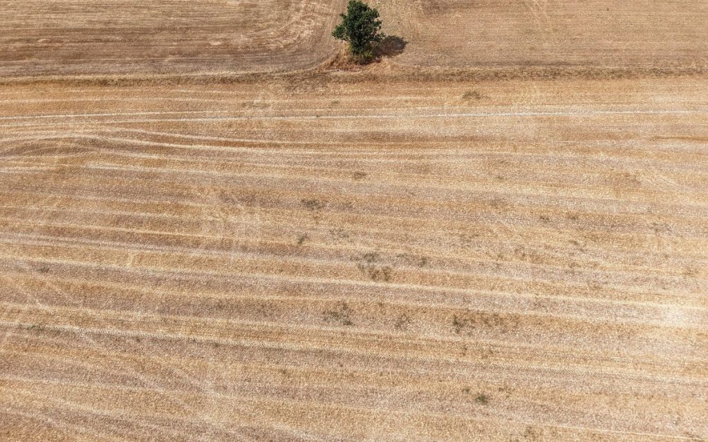 Las olas de calor en Francia generan consecuencias económicas que afectarán el crecimiento proyectado para el país en 2026.