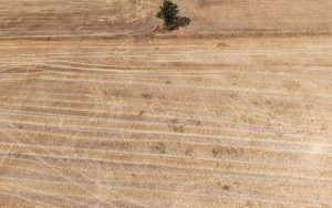 Las olas de calor en Francia generan consecuencias económicas que afectarán el crecimiento proyectado para el país en 2026.