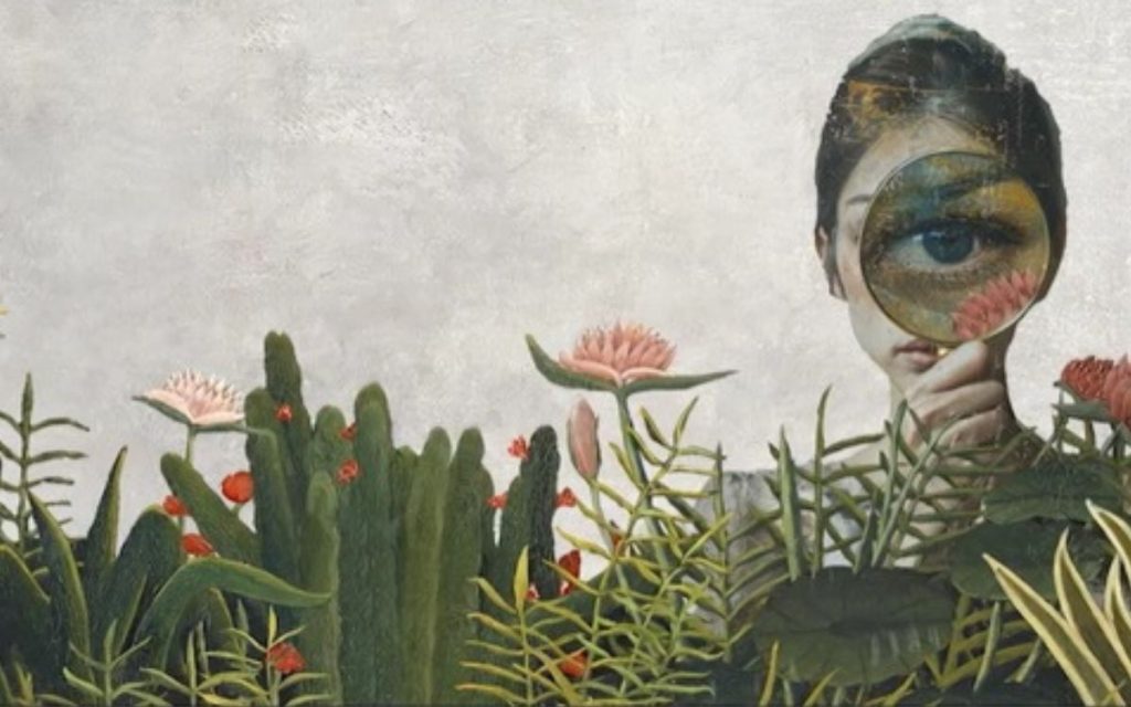 Una nueva red de Naturalistas Notables busca preservar la rica biodiversidad de México mediante la colaboración y el conocimiento compartido.