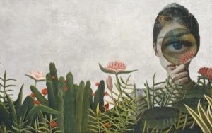 Una nueva red de Naturalistas Notables busca preservar la rica biodiversidad de México mediante la colaboración y el conocimiento compartido.