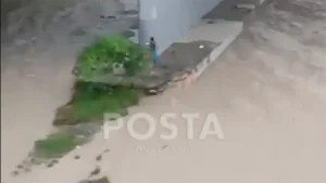 Una complicada operación de rescate se lleva a cabo en Guadalupe tras el reporte de una persona atrapada en un puente inundado.