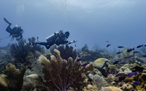 Mariana Reyna impulsa un modelo de explotación sostenible en el Golfo de México para preservar sus ecosistemas tras un derrame.