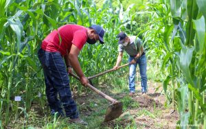 La COP17 se centra en crisis ambientales, con sequías y el fenómeno de El Niño como protagonistas en Latinoamérica.