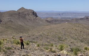 Las obras de seguridad en la frontera con México se suspenden para evaluar su efecto ambiental, generando un intenso debate.